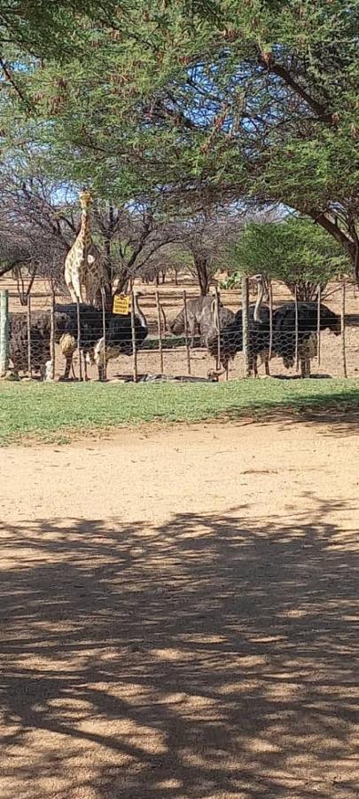 Ombo Rest Camp Hotel Okahandja Luaran gambar