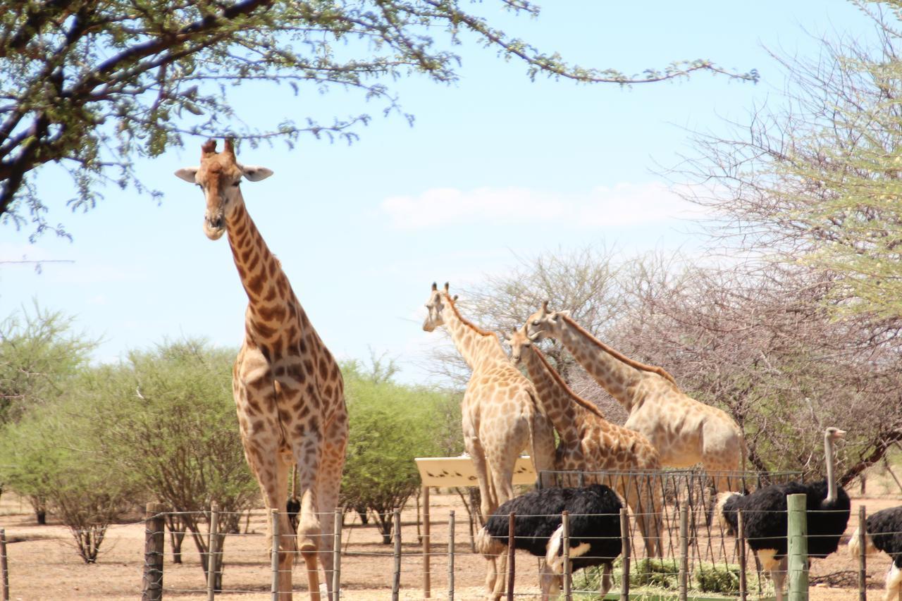 Ombo Rest Camp Hotel Okahandja Luaran gambar